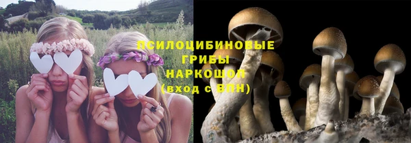 а пвп мука Армянск