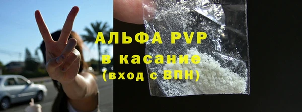 гашик Арсеньев