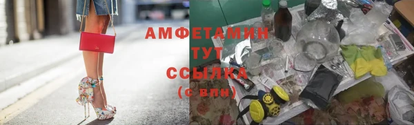гашик Алексеевка