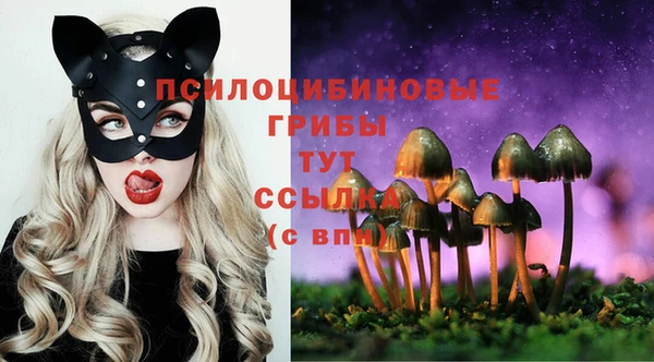 гашик Арсеньев