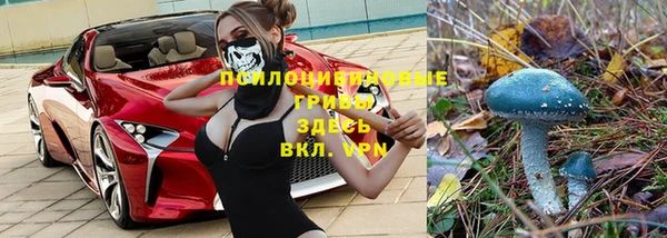а пвп мука Армянск
