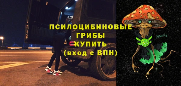 гашик Арсеньев