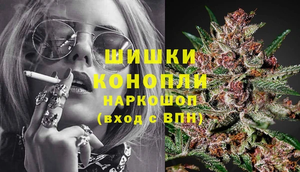 гидра Балахна